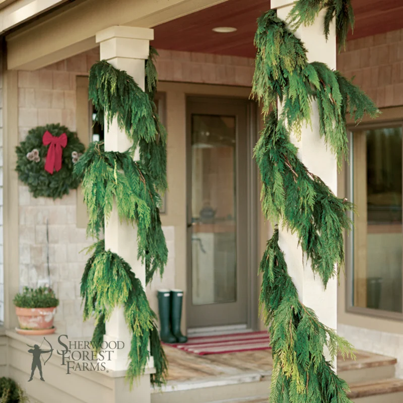 Western Cedar Gift Garlands