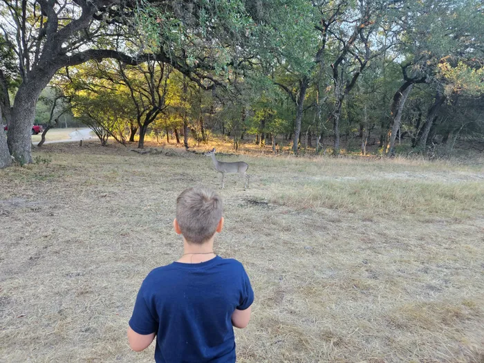 Wyatt looking toward a wooded clearing